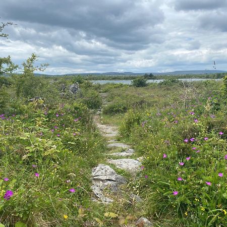 Luxury Glamping Dome With Views Of The Burren Vila Boston Exterior foto