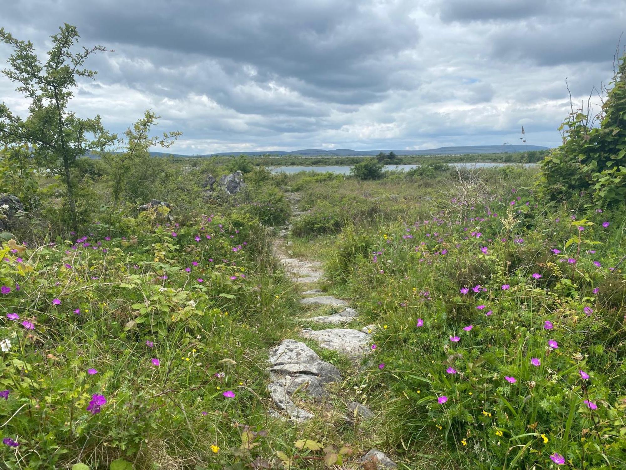 Luxury Glamping Dome With Views Of The Burren Vila Boston Exterior foto